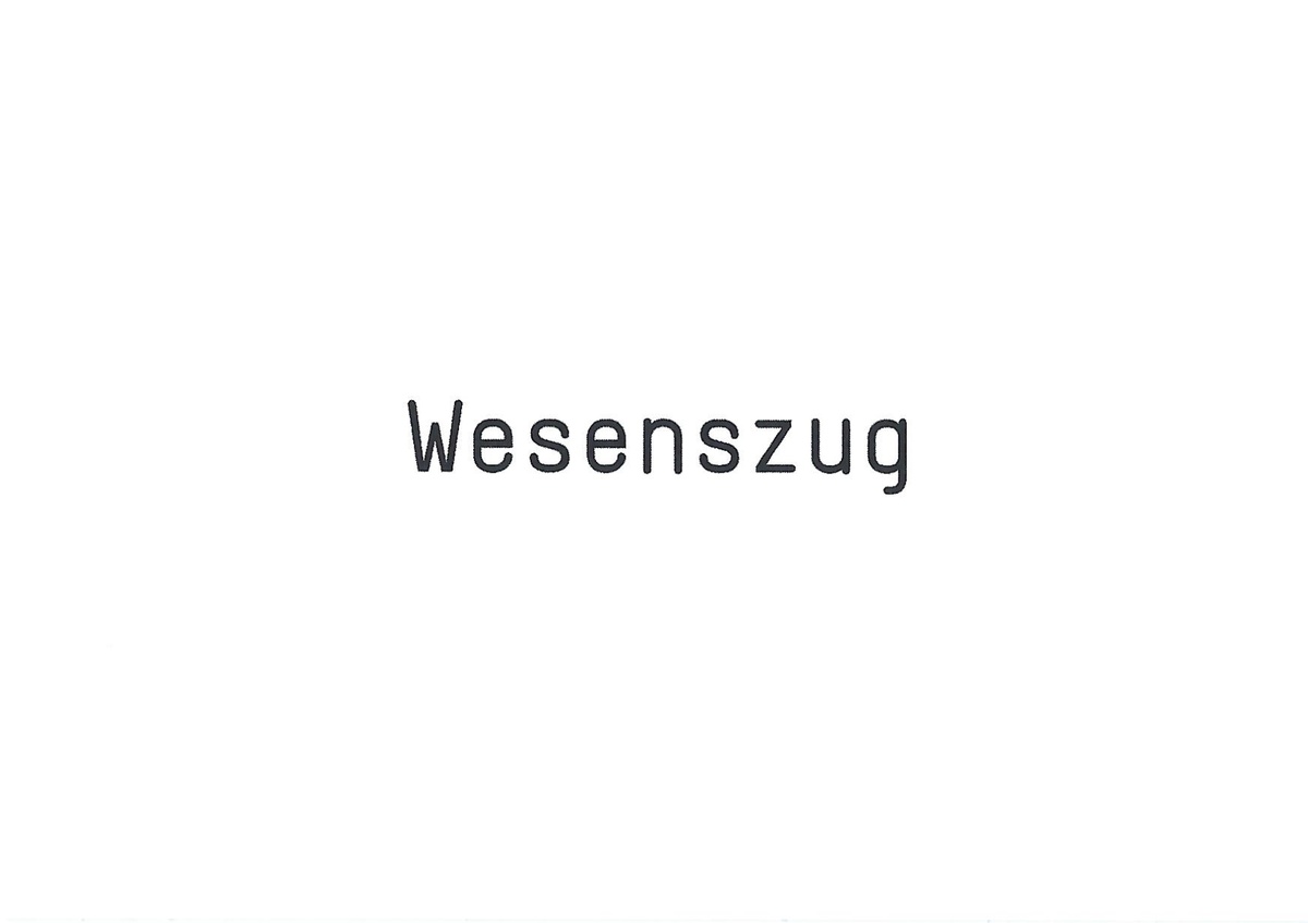 Ayşe Erkmen: Wesenszug. April 26 – June 15, 2013